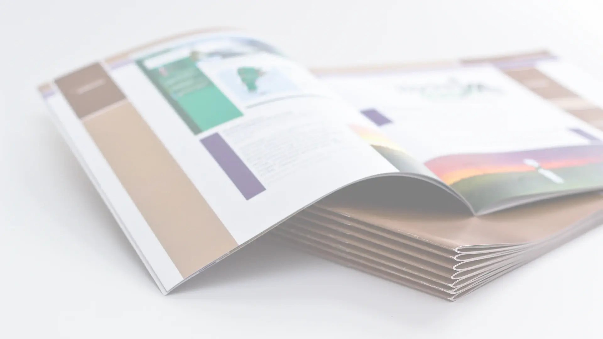 banner_brochure-stack_50per